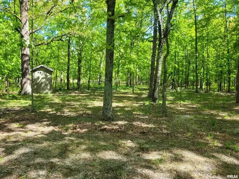 162 N Foxville Rd, Kell, IL 62853 photo 8