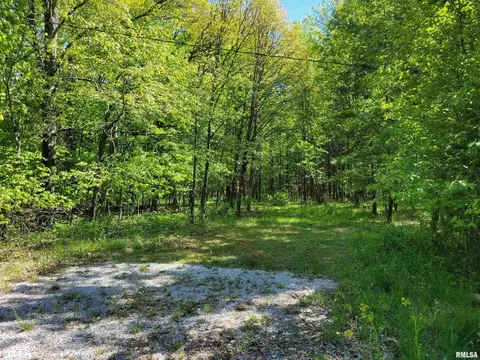 162 N Foxville Rd, Kell, IL 62853 photo 4