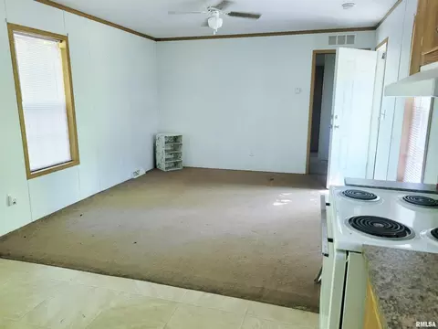 162 N Foxville Rd, Kell, IL 62853 photo 19