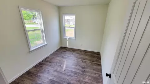 115 Meyer St, Flora, IL 62839 photo 33