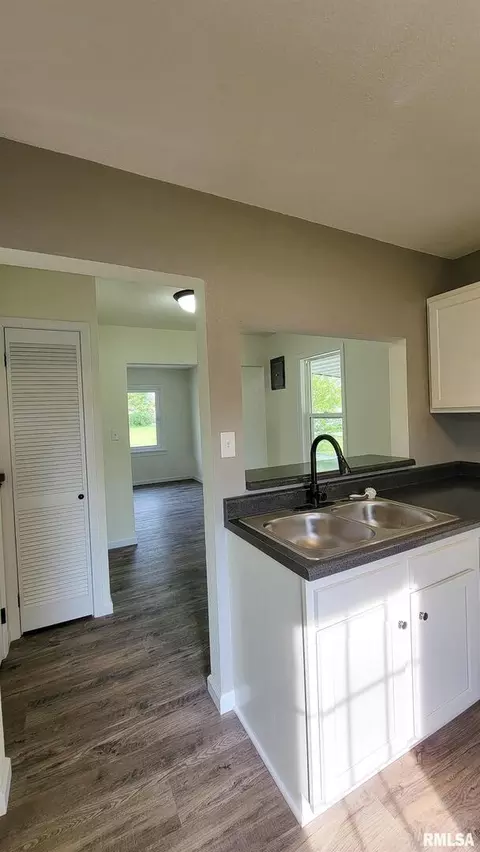115 Meyer St, Flora, IL 62839 photo 16