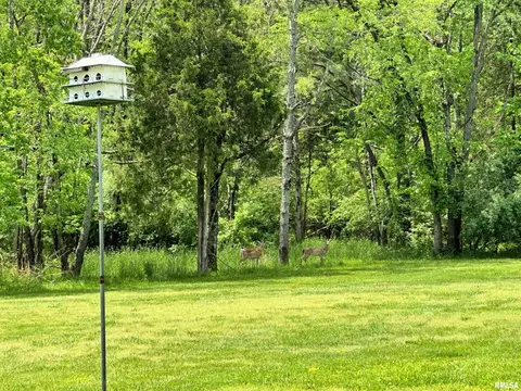 1005 Golf Course Rd, Eldorado, IL 62930 photo 24