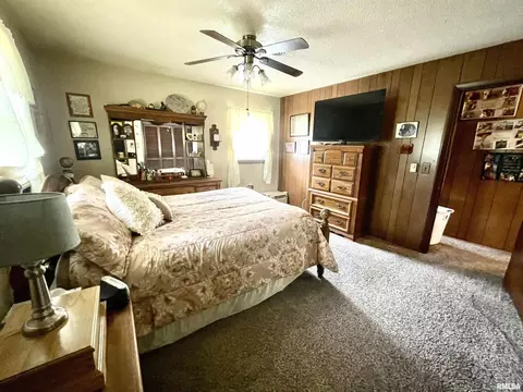 1205 Eads St, Benton, IL 62812 photo 18