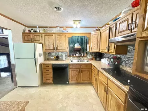 1205 Eads St, Benton, IL 62812 photo 9