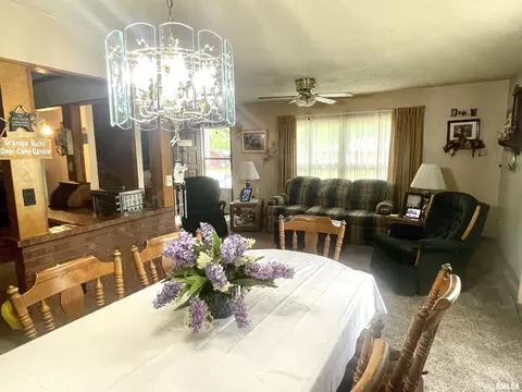 1205 Eads St, Benton, IL 62812 photo 8