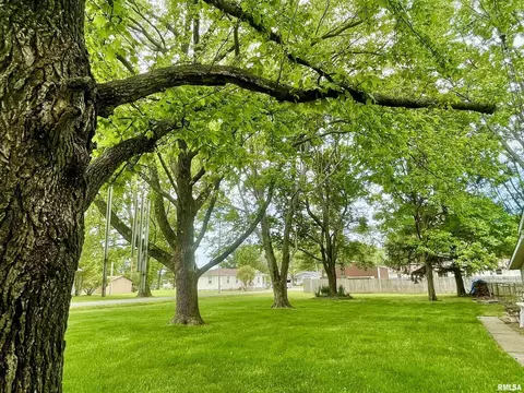 1205 Eads St, Benton, IL 62812 photo 27