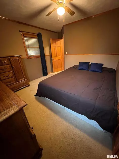 709 E Florence St, Sesser, IL 62884 photo 30