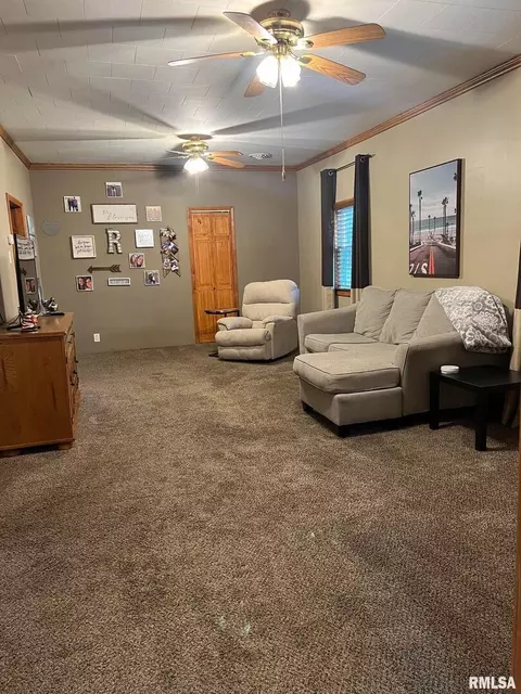 709 E Florence St, Sesser, IL 62884 photo 14