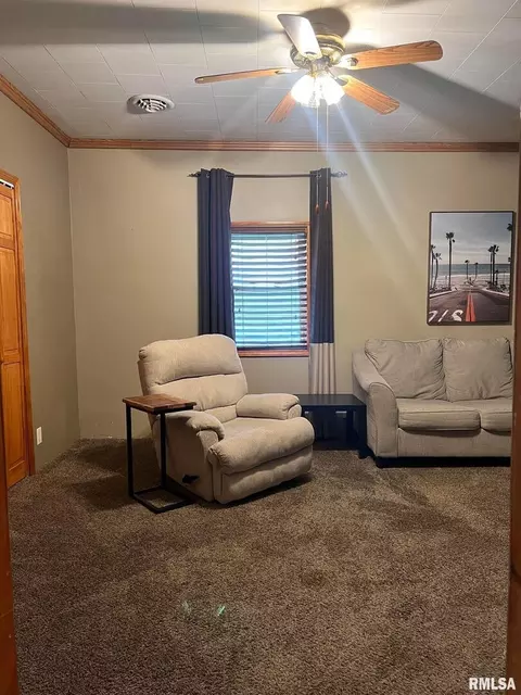 709 E Florence St, Sesser, IL 62884 photo 13