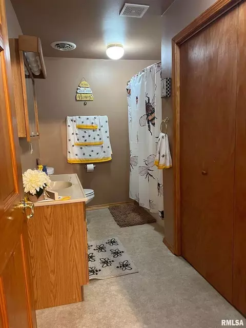 709 E Florence St, Sesser, IL 62884 photo 27