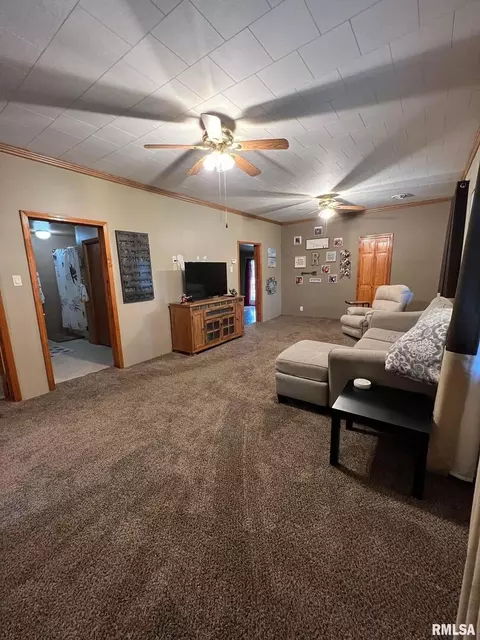 709 E Florence St, Sesser, IL 62884 photo 11