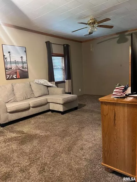 709 E Florence St, Sesser, IL 62884 photo 12