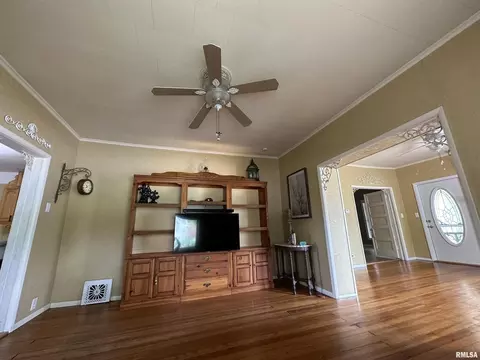202 E Matthew St, Sesser, IL 62884 photo 23