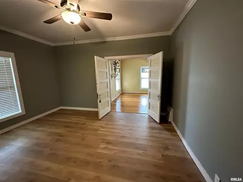 202 E Matthew St, Sesser, IL 62884 photo 18