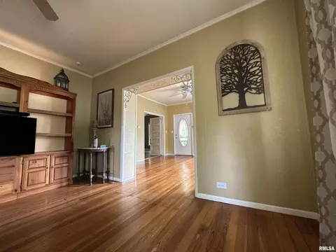 202 E Matthew St, Sesser, IL 62884 photo 22
