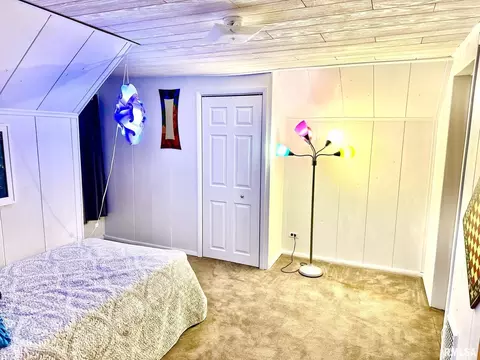 202 E Matthew St, Sesser, IL 62884 photo 29
