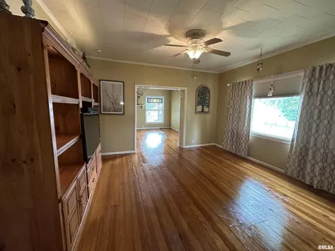 202 E Matthew St, Sesser, IL 62884 photo 21