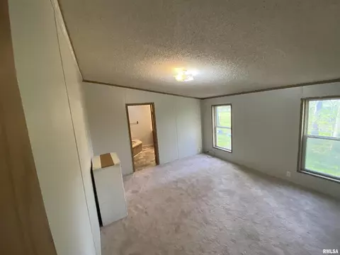 2450 County Farm Rd, Kell, IL 62853 photo 11