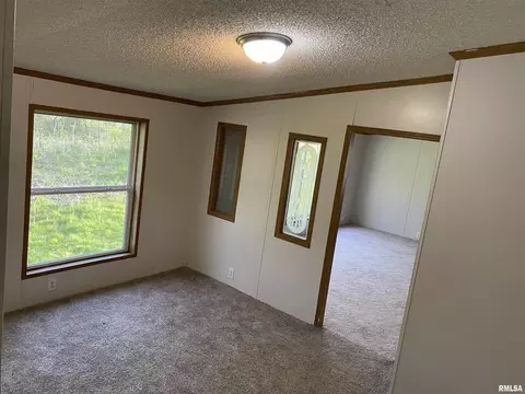 2450 County Farm Rd, Kell, IL 62853 photo 3
