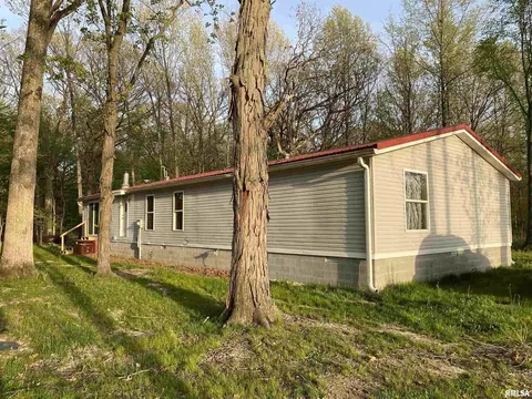 2450 County Farm Rd, Kell, IL 62853 photo 19