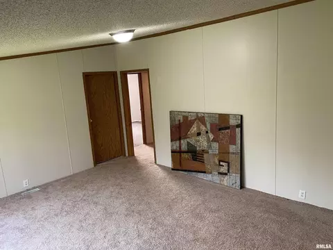 2450 County Farm Rd, Kell, IL 62853 photo 2