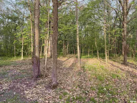 2450 County Farm Rd, Kell, IL 62853 photo 23