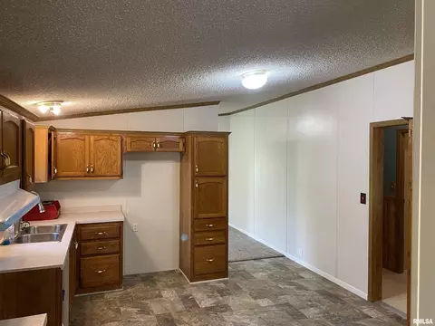 2450 County Farm Rd, Kell, IL 62853 photo 6