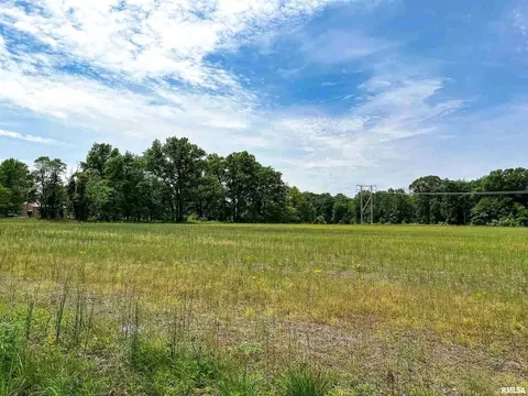 00 Fig Rd, Flora, IL 62839 photo 16