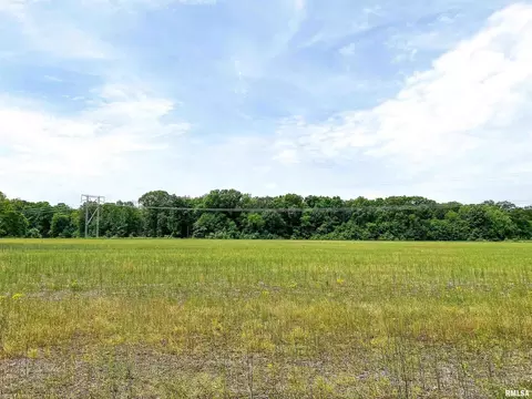 00 Fig Rd, Flora, IL 62839 photo 15