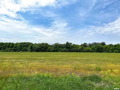 00 Fig Rd, Flora, IL 62839 photo 10