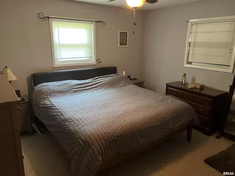 100 Swan Ave, Anna, IL 62906 photo 18