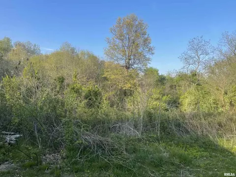 Walnut Hill 000 E Road, Texico, IL 62889 photo 6