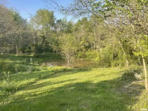 Walnut Hill 000 E Road, Texico, IL 62889 photo 5