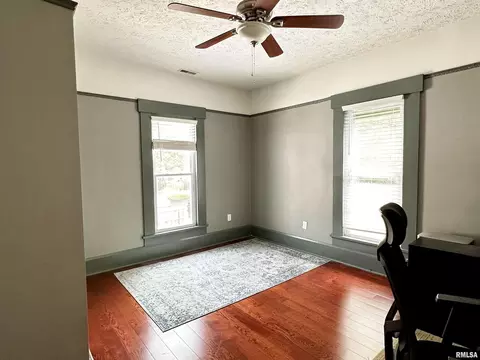 208 E Ash St, Cobden, IL 62920 photo 14