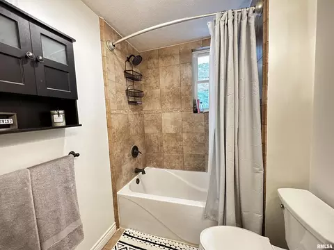 208 E Ash St, Cobden, IL 62920 photo 8