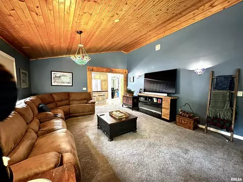 208 E Ash St, Cobden, IL 62920 photo 10