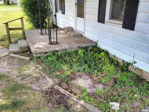 103 Mulberry St, Cisne, IL 62823 photo 50