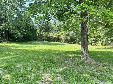 310 Blueberry Hill Rd, Cobden, IL 62920