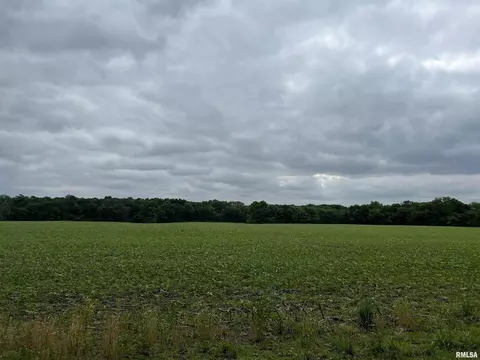 000 Forbes Rd, Kinmundy, IL 62854