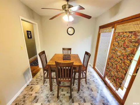 420 Flora Ave, Flora, IL 62839 photo 13