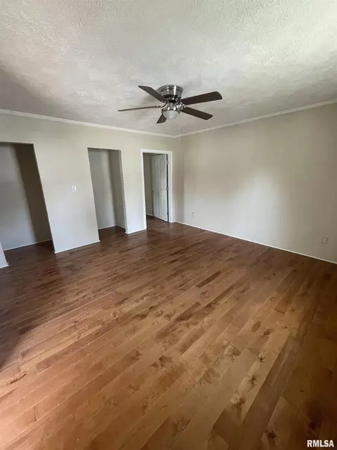401 S Mulkey St, Christopher, IL 62822 photo 4