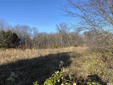 270 Dry Fork Rd, Ozark, IL 62972 photo 10