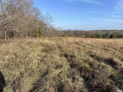 270 Dry Fork Rd, Ozark, IL 62972 photo 11