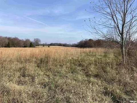 270 Dry Fork Rd, Ozark, IL 62972 photo 21