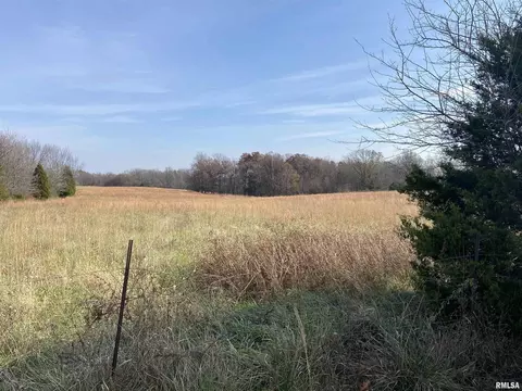 270 Dry Fork Rd, Ozark, IL 62972 photo 13
