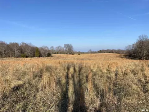 270 Dry Fork Rd, Ozark, IL 62972 photo 8