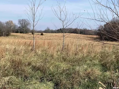 270 Dry Fork Rd, Ozark, IL 62972 photo 20