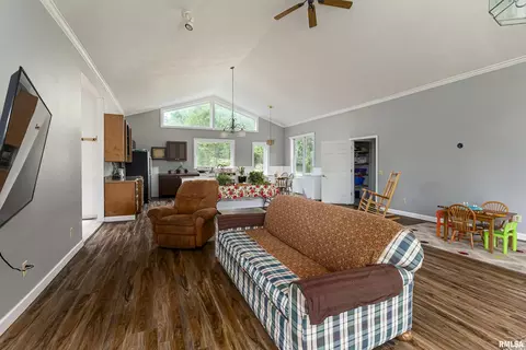 690 Ryan Ln, Cobden, IL 62920 photo 5
