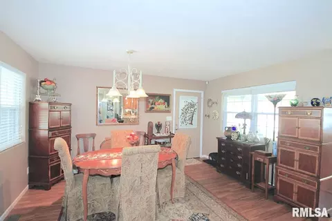 313 Evergreen Trl, Herrin, IL 62948 photo 9