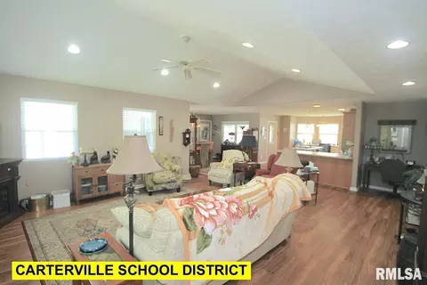 313 Evergreen Trl, Herrin, IL 62948 photo 2